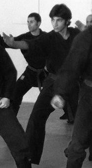 Shinden Fudo Ryu JuTaiJutsu